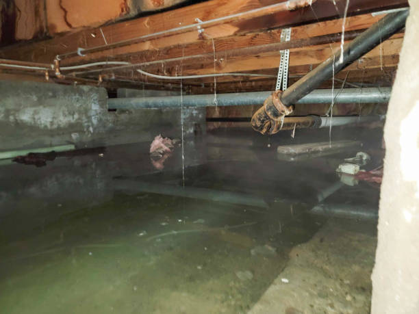Reliable Madras, OR Water damage restoration Solutions