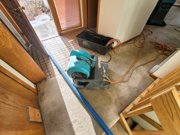 Carpet water damage restoration in Madras, OR